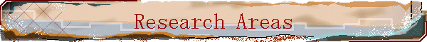 Research Areas